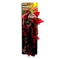 thumbnail image 1 of Penn-Plax REP425 Vigne pour Reptiles de 24 Po, Vert et Rouge, 1 of 1