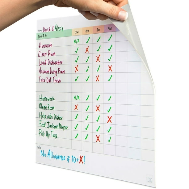 M.C. Squares Reusable Task Chart Whiteboard. Lined Daily Chore Charts
