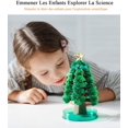 thumbnail image 4 of Árbol mágico del Día del Árbol de 2 piezas, árbol de crecimiento mágico de papel de cristal para decoración de niños, juguetes educativos y de fiesta divertidos (verde), 4 of 5