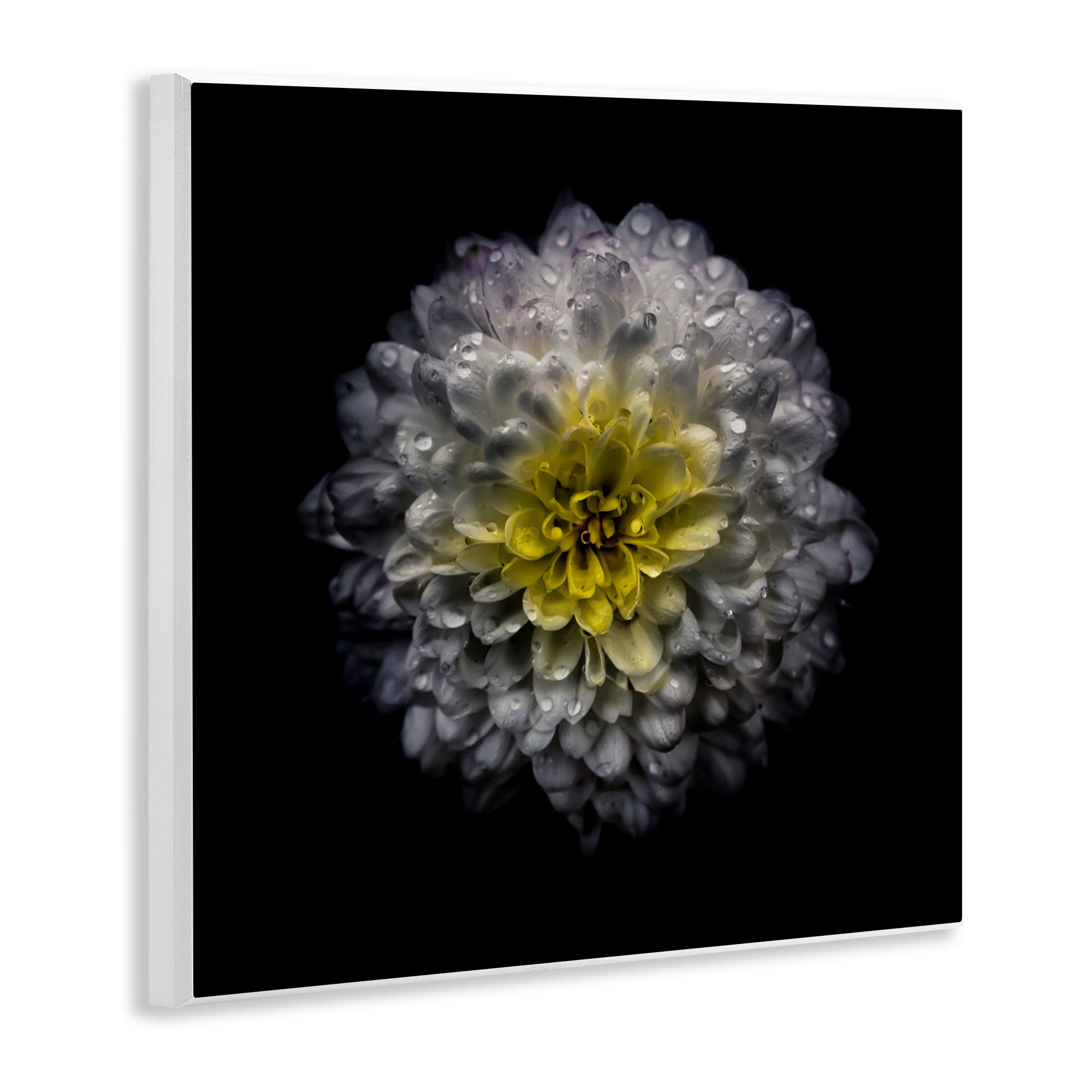 White And Yellow Mum Wall Plaque Art, design by Brian Carson Photography