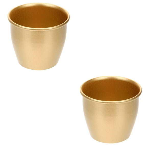 Set of 2 Mini Metal Flower Pots for Plants, Planter Buckets, Small Decorative Plant Containers