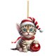 thumbnail image 1 of Adorno Navideño Divertido De Gato En Acrílico 2D Adorno De Gato En Acrílico Adorno Navideño Divertido Con Doble Impresión En Acrílico Adorno Navideño Divertido 2D Regalo De Navidad Adorno Divertido, 1 of 5