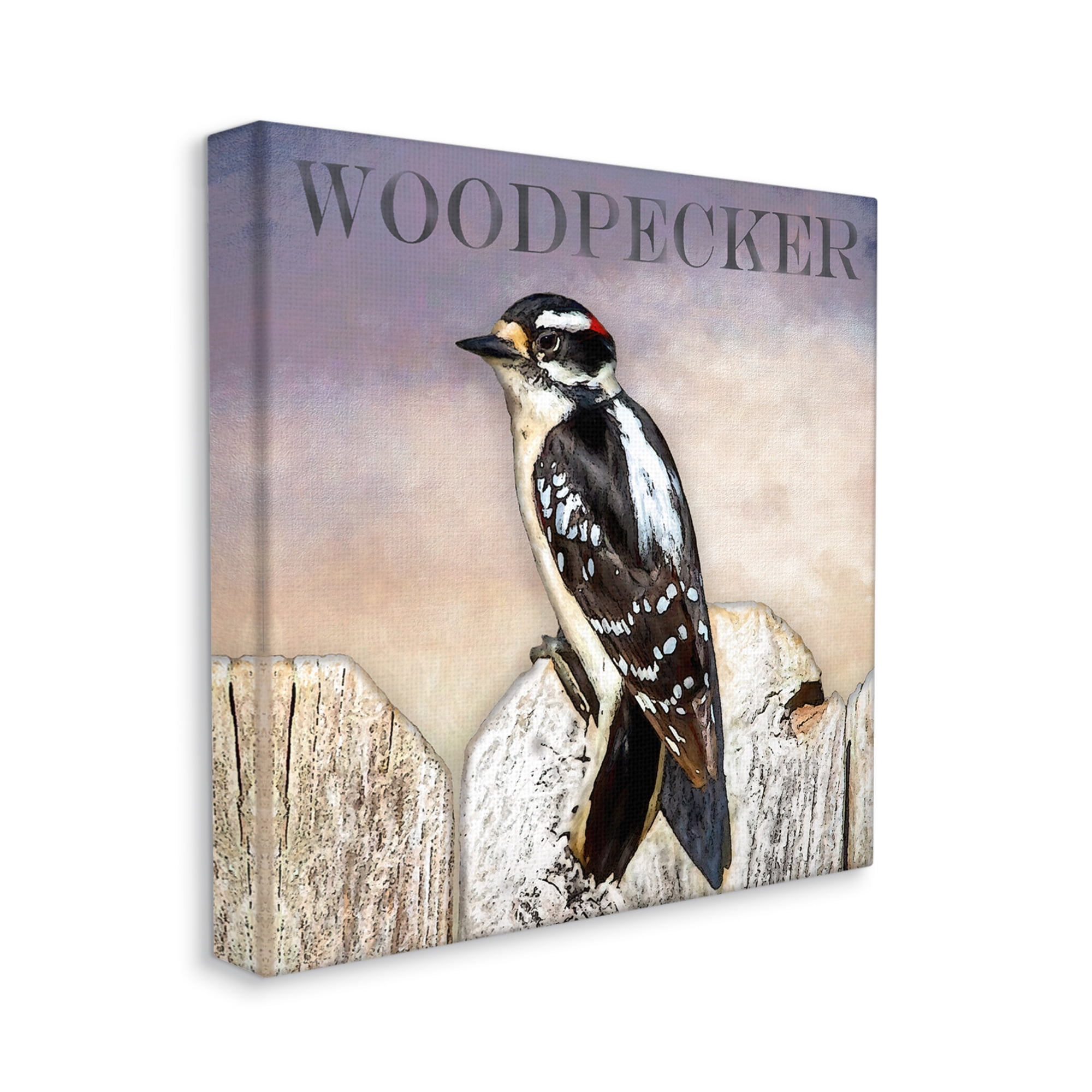 Stupell Industries Woodpecker Bird Perched on Fence Breed Typography Design Graphic Art Gallery Wrapped Canvas Print Wall Art, Design by Alpenglow Workshop