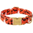 thumbnail image 1 of Collar para Perro con Diseño Único de Patas y Hebilla Metálica Otoño Invierno, 1 of 6