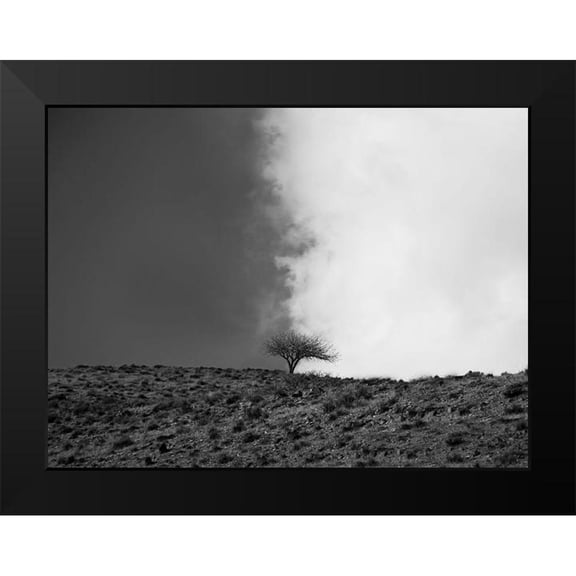 Noori, Saba 14x12 Black Modern Framed Museum Art Print Titled - The Sky is Mine
