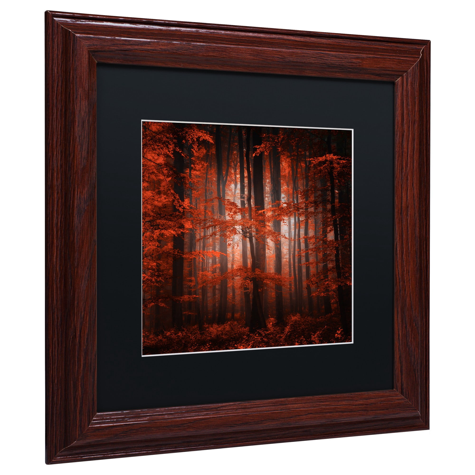 "Red Parallel Universe" Canvas Art by Philippe Sainte-Laudy Black Matte, Wood Frame