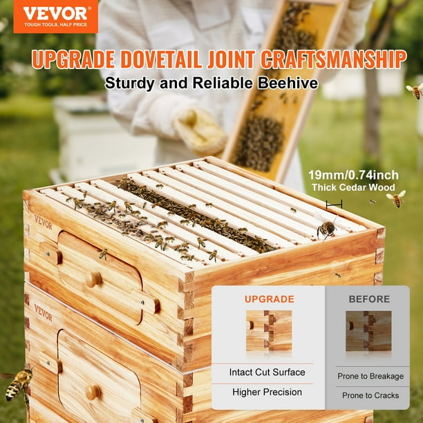 Honey English 20冊セット Honey English 20冊セット VEVOR Bee Hive 20 Frame Bee Hives Starter