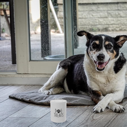 Toyvian Space-Saving White Metal Dog Food Bin for Countertop Pet Supplies