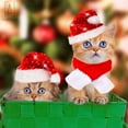 thumbnail image 5 of GustaveDesign Set of 2 Dog Cat Red Santa Claus Hat and Scarf, Christmas Pet Costume Set Cosplay Dressing up Xmas Party for Puppy Dog Kitten "M Size", 5 of 9