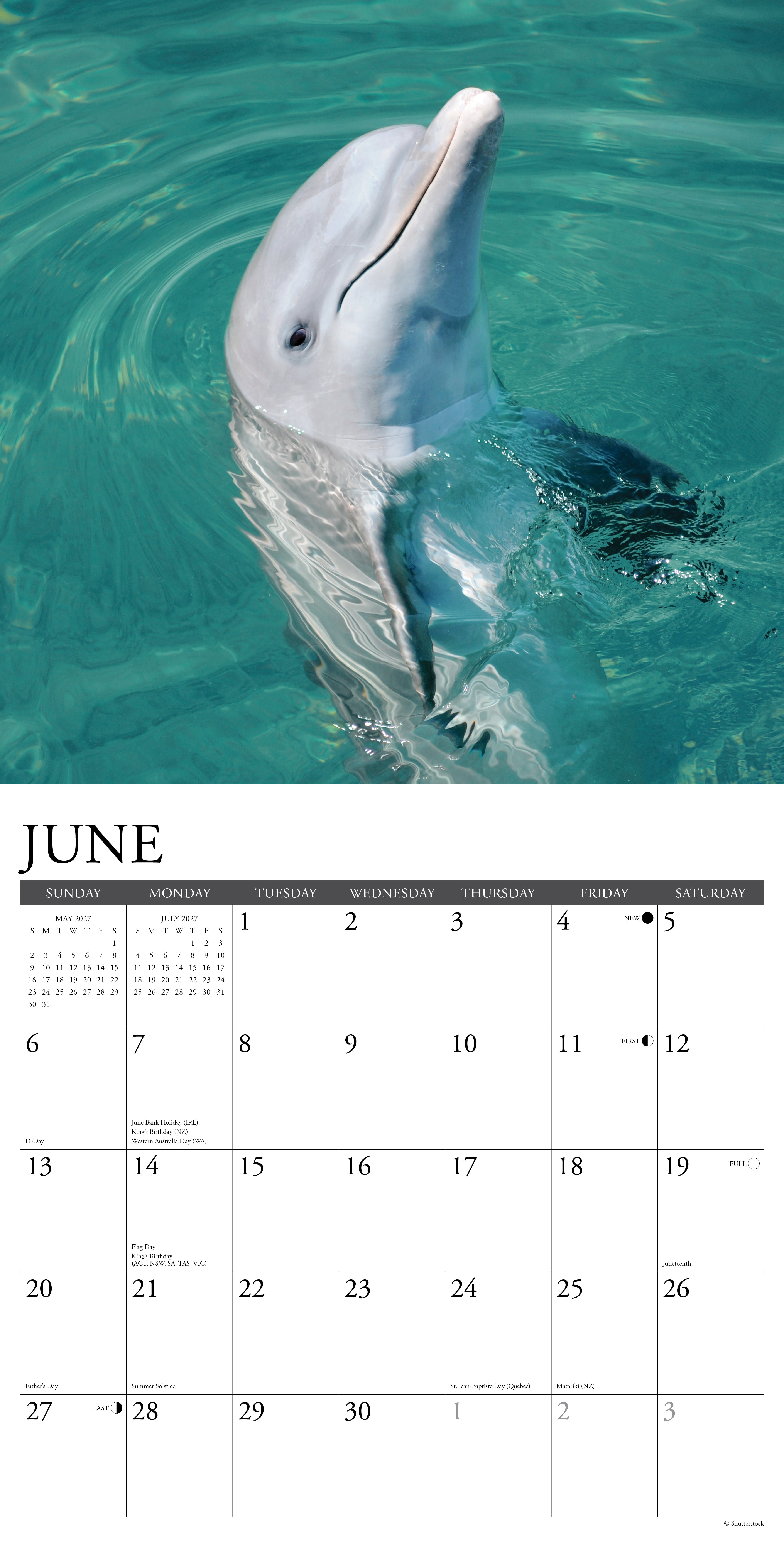 Willow Creek Press, Dolphins 2027 Wall Calendar