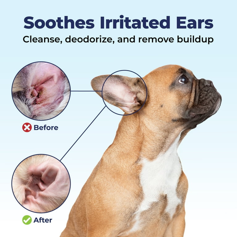 English Bulldog Ear Drops For French Bulldog Vetnique Labs