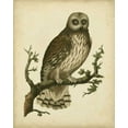 thumbnail image 2 of Nozeman 12x14 Gold Ornate Wood Framed with Double Matting Museum Art Print Titled - Antique Nozeman Owl II, 2 of 4