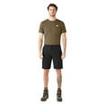 thumbnail image 3 of Dickies Men's Relaxed Fit Work Shorts, 11", Mushroom, 47, 3 of 5