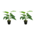 thumbnail image 4 of Bewildely Plantas artificiales realistas, flores falsas en maceta de tortuga para decoración de hogar, oficina, jardín, Tropical JH5471 2Conjunto, 4 of 6