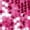 Rose Red, variant on Glitter Sequin Tops Short Sleeve Sparkly Binding Shirt Blouse - X Large, Silver Mauve