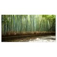 thumbnail image 2 of Beautiful View of Bamboo Forest - Forest Canvas Wall Art Print, 2 of 3