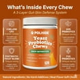 thumbnail image 5 of POLHIDE Yeast Probiotic Chews for Dogs, Itch Relief Sensitive Skin and Gut Health Support, 3 Billion CFU, Meat Flavor, 120 Count, 5 of 12