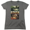 thumbnail image 1 of Injustice Gods Among Us - Panels - Women's Short Sleeve Shirt - Medium, 1 of 2