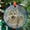 Pet Portrait976, variant on Custom Pet Portrait Ornament Suncatcher, Dog Memorial, Custom Dog Portrait from Photo, Pet Memorial Gift, Window hangings, 2025, Holiday 2025, Seasonal Holiday Decor, Holiday