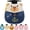 Bear, variant on Graduation Plush Sloth Stuffed Animal - 13 Inch Sloth Graduation Plush with Grad Cap Congratulations Sash Kindergarten Middle High School 2026 Graduation Gift for Man Woman College Student Classmate