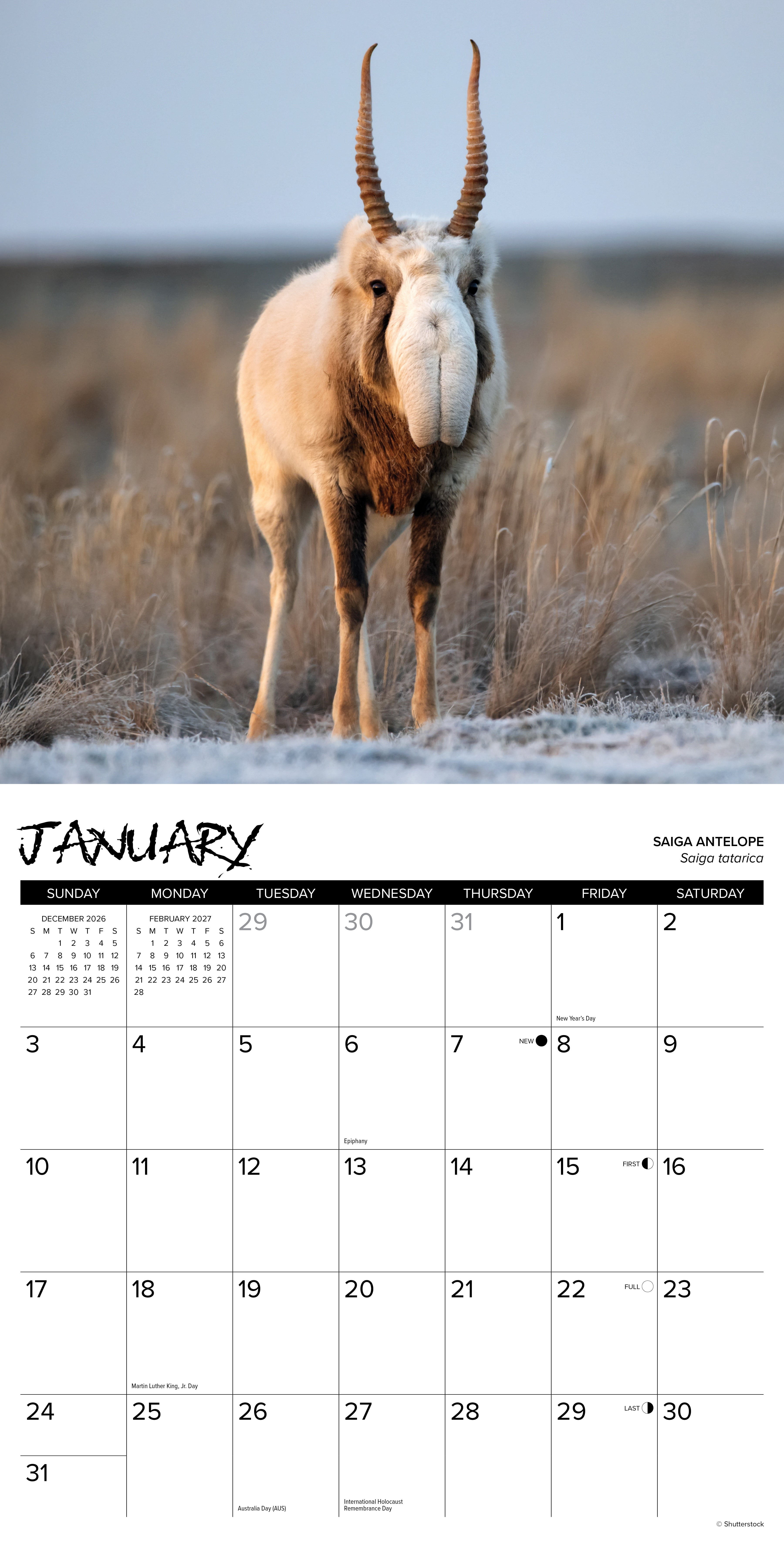Willow Creek Press, Exotic Animals 2027 Wall Calendar