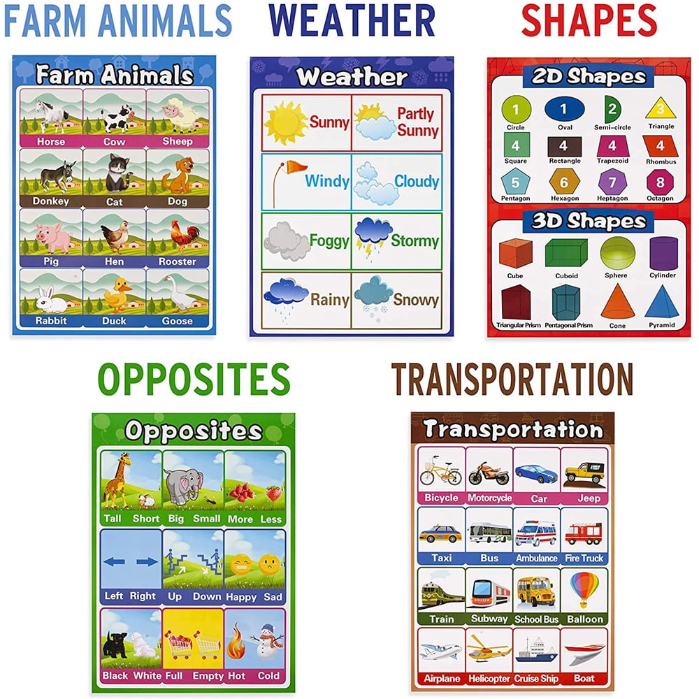 Buy 13 Pieces Educational Preschool Poster for Toddler and Kid for
