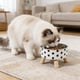 thumbnail image 1 of Comedero de Acero Inoxidable para Mascotas: Antideslizante, Antivuelco y con Diseño Elevado para Una Alimentación Cómoda para Perros y Gatos., 1 of 6