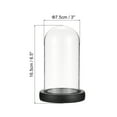 thumbnail image 2 of Uxcell 3"x6.5" Glass Display Dome Cloche Display Bell Jar for Plants Collectibles Candles, Black, 2 of 6