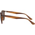 thumbnail image 5 of Ray-Ban Rb4305f Asian Fit Round Sunglasses, 5 of 5