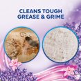 thumbnail image 4 of Lysol® Multi Surface Cleaner Pourable - Power & Fresh™ Lavender, 4.26 L, 4 of 7