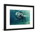 thumbnail image 1 of Swimming Elephant Underwater African Elephant in Ocean with Mirrors and Ripples at Water Surface, Animals Framed Art Print Wall Art by Willyam Bradberry Sold by Art.Com, 1 of 5