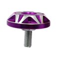 thumbnail image 4 of Tornillos de matrícula, sujetador de cubierta, piezas de motocicletas eléctricas, accesorios para Scooter, coche Púrpura, 4 of 8