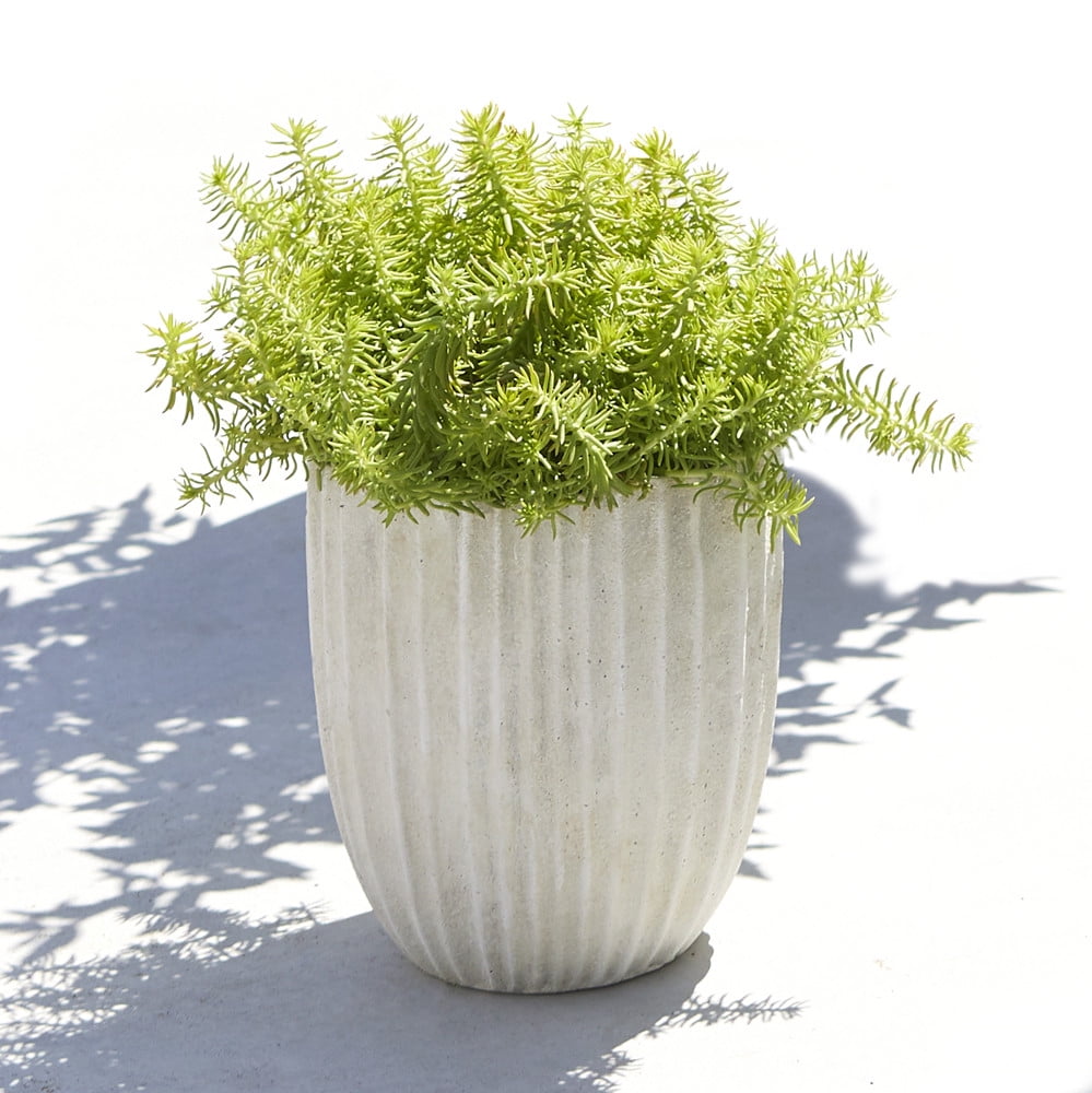 Better Homes &amp; Gardens Capalia 6 Inch Round Ceramic