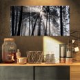 thumbnail image 3 of Designart 'Sunbeams through Black White Forest ' Forest Canvas Wall Art Print, 3 of 3