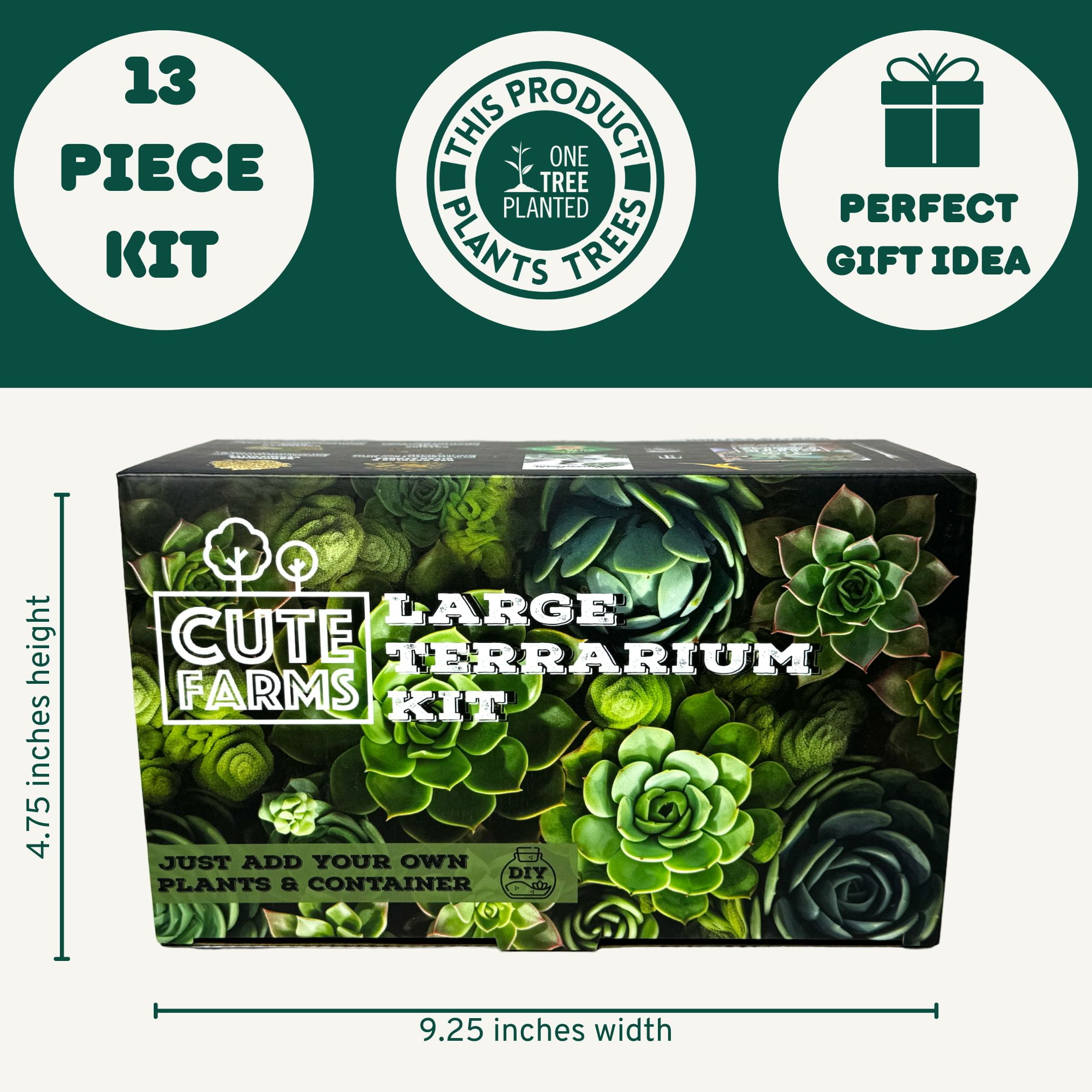 Cute Farms Terrarium Starter Kit | Moss, Vermiculite, Soil, Pebbles, Plant Food, Finishing Tools, Build and Care Guide | DIY Succulent Terrarium Kit for Adults and Kids (Large Kit + Live Plants)