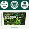 thumbnail image 4 of Cute Farms Terrarium Starter Kit | Moss, Vermiculite, Soil, Pebbles, Plant Food, Finishing Tools, Build and Care Guide | DIY Succulent Terrarium Kit for Adults and Kids (Large Kit + Live Plants), 4 of 7