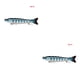thumbnail image 3 of Eigraketly Bait Lure Crankbait Pesca Multi-seccional Hundimiento Swimbait con Garra Barb Hook, D8K-03 D8K-03 2piezas Eigraketly CBP141555, 3 of 5