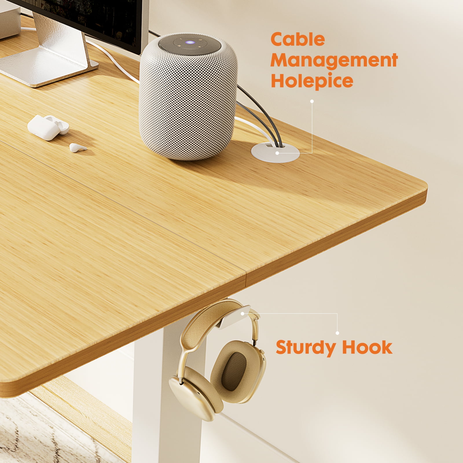 EDX Electric Adjustable Standing Desk - 48"x24" Sit-to-Stand Office Desk with 2 Hooks & Wire Hole