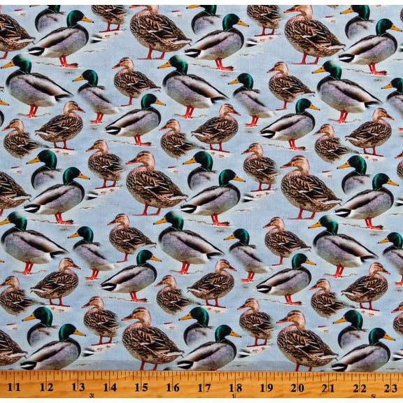 Cotton Mallards Ducks Animals 2024 Birds Mallard Blue Cotton Fabric Print by the Yard (133824)