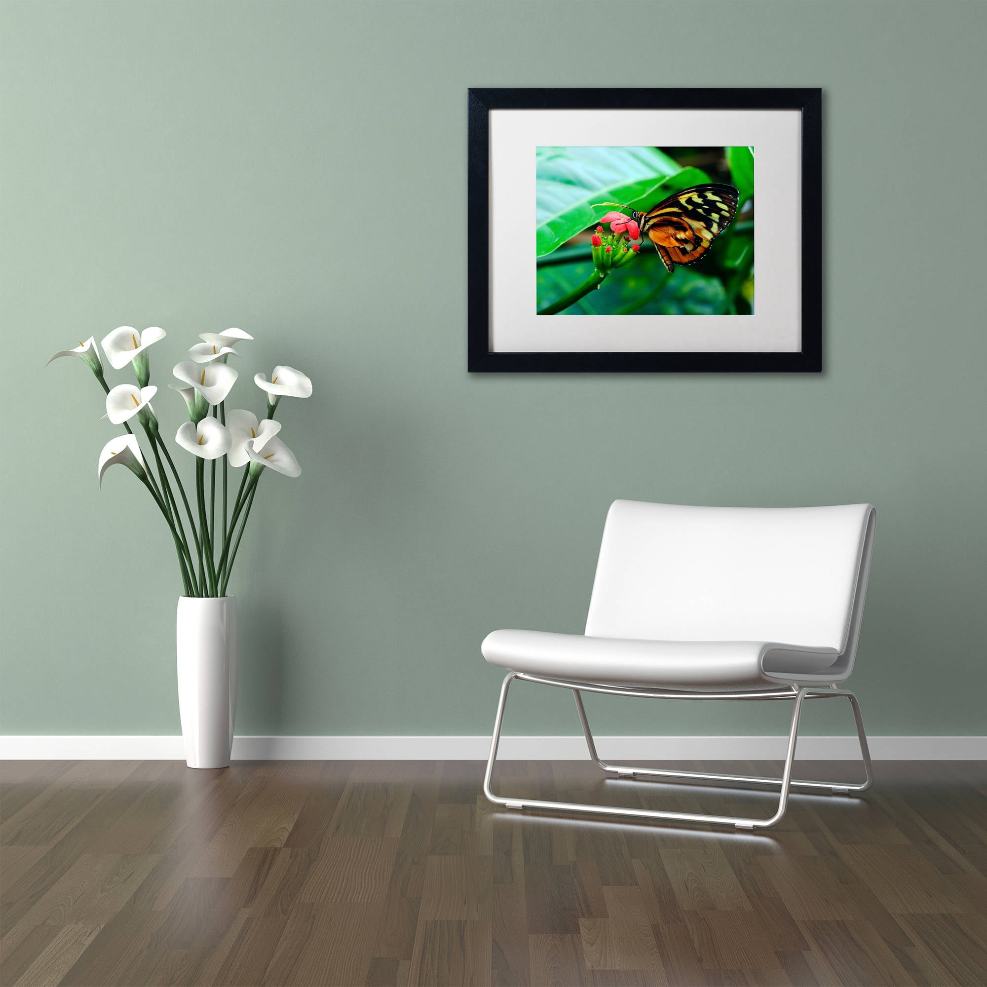 Trademark Fine Art "Cream Spotted Tigerwing" Canvas Art by Kurt Shaffer, White Matte, Black Frame