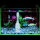 thumbnail image 2 of Incubadora de acuario ANGGREK 25 Cm X 50 Mm para pecera, 2 of 7