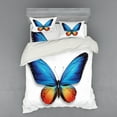 thumbnail image 2 of Ambesonne Butterfly Bedding Set 3 Pcs, Cycle of Life Theme, Twin, Orange Blue Black, 2 of 3