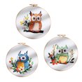 thumbnail image 3 of EastVita Owl Embroidery Kit For Beginners, Animal Stamped Pre Printed Embroidery Kits, Starter Needlepoint Kits With Instructions Clothes Hoops Threads Needles, 3 of 8