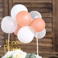 thumbnail image 2 of Efavormart Set of 9 Confetti Balloon Cloud Cake Topper, Mini Balloon Garland for Cake Decoration - Rose Gold | White | Clear, 2 of 11