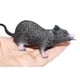 thumbnail image 2 of Plastic Rat Toy, Halloween Decoration, Terrible Prank Props, 2 of 3