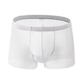 thumbnail image 4 of Men's Solid Color Trend Mesh Breathable Briefs for Everyday Comfort and Lightweight Support, 4 of 5
