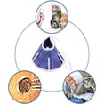 thumbnail image 4 of Collar de recuperación suave para gatos, cono para gatos, cono postoperatorio para mascotas, collares isabelinos, protección para la cicatrización de heridas, especialmente para gatitos y perros pequ TUNC Sencillez, 4 of 5