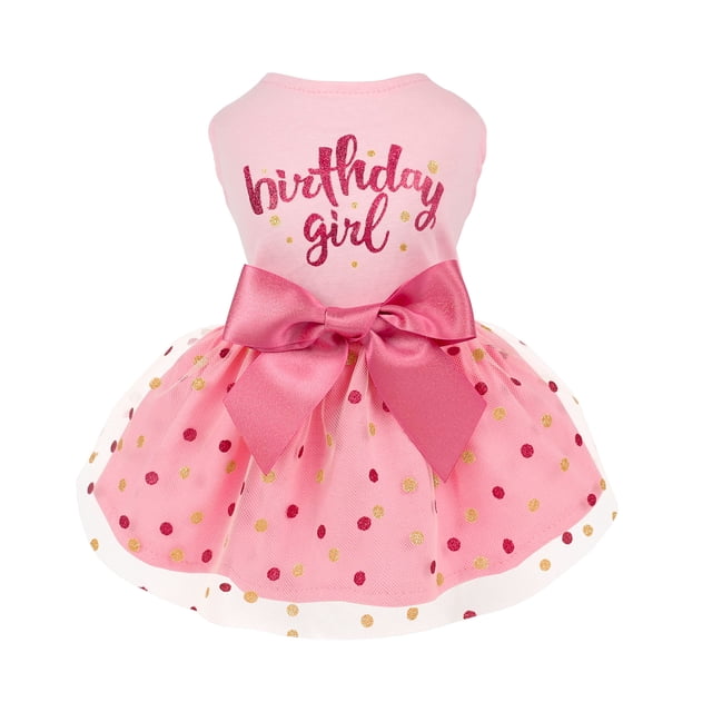 Vestido para perro Fitwarm Birthday Girl de tul rosa para perros XXS