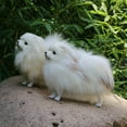 thumbnail image 3 of Stuffed Animal under $5! Xqxayjr Realistic Pomeranian Dog Plush Toy, Lifelike Stuffed Animal Model, Soft Artificial Fur Dog Collectible, Educational Pet Toy for Kids and Adults, 3 of 9