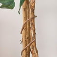 thumbnail image 3 of Nearly Natural Artificial Trees, 84in, Green, 3 of 5